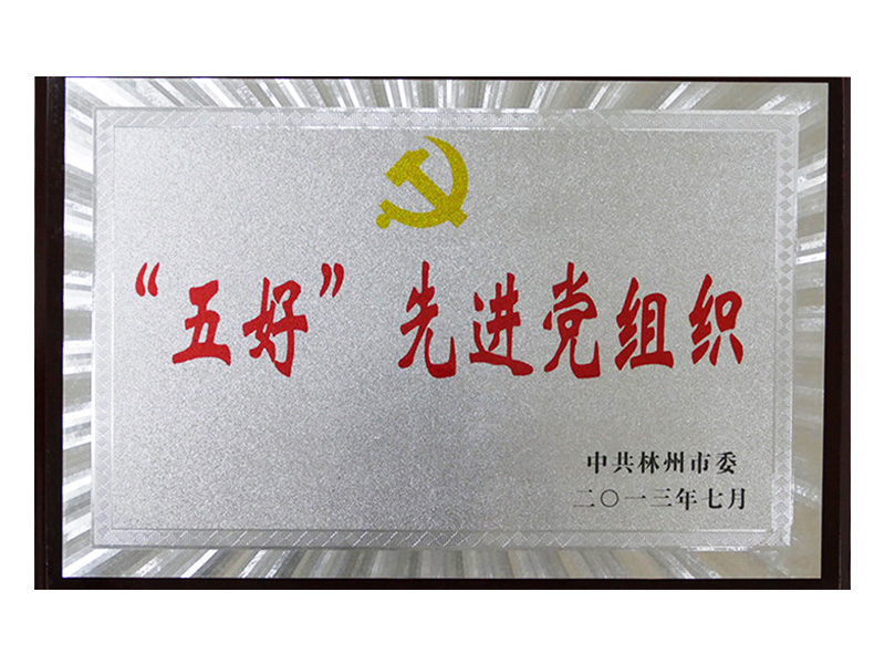 2013年林州市五好先 进党组织